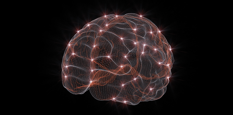 Brain neurotransmitters