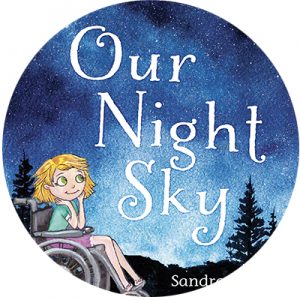Our night Sky book cover